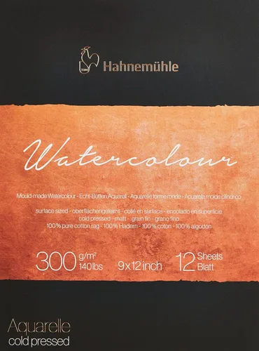 Hahnemuhle Collection 300 - Bloc de acuarela prensado en frío, 9 x 12 pulgadas, 10.58 oz/m²