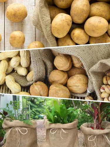 Miniatura 7 de ANPHSIN 4 bolsas transpirables de arpillera natural, 14 x 20 pulgadas, reutilizables, gruesas, yute, papa, cebolla, almacenamiento de alimentos