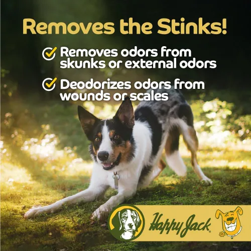 Miniatura 3 de Happy Jack Champú para aliviar la picazón del perro y tratamiento medicado (12 onzas) detiene la picazón, los arañazos y el roer rápidamente, alivia