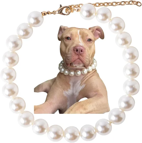 Miniatura 13 de Collar de perlas con cuentas para perro, hecho a mano, collar de perro elegante con campana, joyería para perros pequeños, cachorros (M, rosa crema)