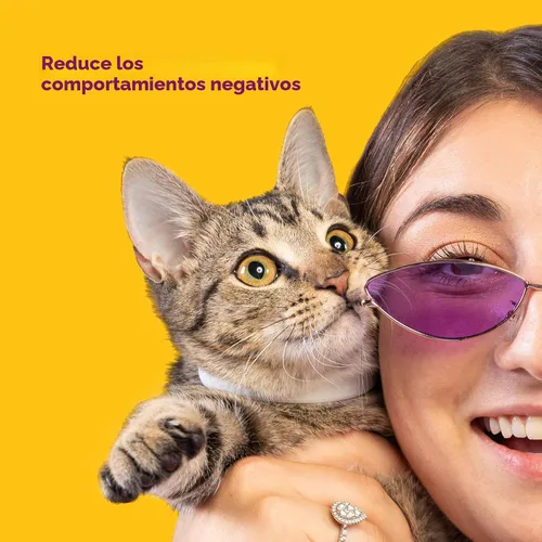 Miniatura 4 de Comfort Zone Paquete económico de collar calmante para gatos: 4 collares calmantes de 30 días para 120 días de calma