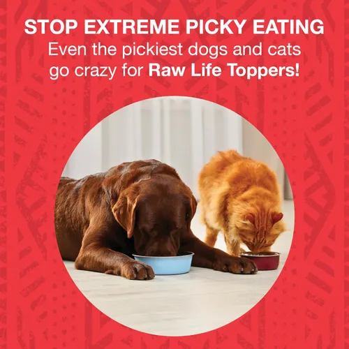 Miniatura 2 de KOHA Raw Life - Carne de res cruda liofilizada para perros y gatos, con alto contenido de proteínas, para comensales quisquillosos con probióticos