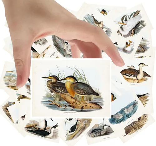 Miniatura 5 de Calcomanías grandes, 24 piezas (2.5 x 3.5 pulgadas cada una) pájaros, mariposas y flores, libro botánico antiguo, ilustración, postales vintage, Ocho