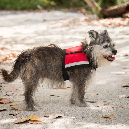 Miniatura 5 de Chaleco de apoyo emocional premium para perros pequeños, ESA, incluye 5 tarjetas de folleto ESA de ley federal