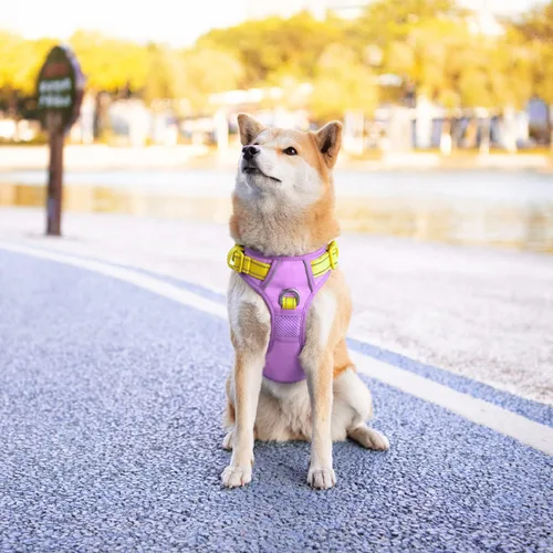 Miniatura 3 de PHOEPET Arnés para perro sin tirones, chaleco para perro reflectante ajustable de colores únicos, con mango de entrenamiento suave, clips de metal