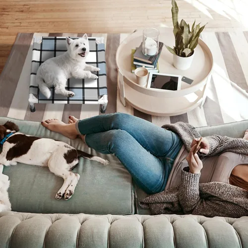 Miniatura 5 de Caghash Cama elevada para perros al aire libre, cama elevada para perros al aire libre, cama elevada para mascotas, cuna para el gusto