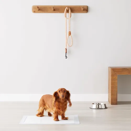Miniatura 8 de Amazon Basics Almohadillas perfumadas para orinar para perros y cachorros, 5 capas a prueba de fugas, superabsorbentes, superficie de secado rápido