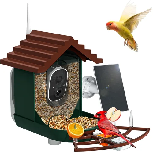 Miniatura 11 de Comedero inteligente para pájaros con cámara, alimentado por energía solar e identificación IA, alimentador de pájaros WiFi de 2.4 Ghz para Azul