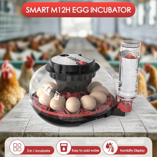 Miniatura 2 de Incubadoras para eclosionar huevos Incubadora automática de huevos con control de temperatura, pantalla de humedad, capacidad para 12 huevos