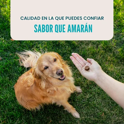 Miniatura 5 de VetIQ Suplemento de glucosamina para cadera y articulaciones para perros, 60 masticables suaves, suplemento de apoyo articular con MSM y krill