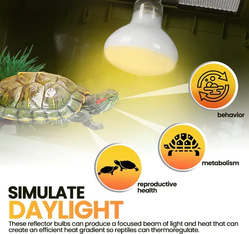 Miniatura 2 de CALPALMY Paquete de 4 bombillas de lámpara de calor de reptiles de 100 W, bombillas UVA para reptiles, tortugas, lagartos, dragones barbudos