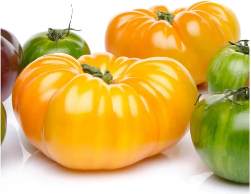 Miniatura 2 de Everwilde Farms - Semillas de tomate tradicionales de brandywine amarillo orgánico de 1 onza - Paquete Gold Vault