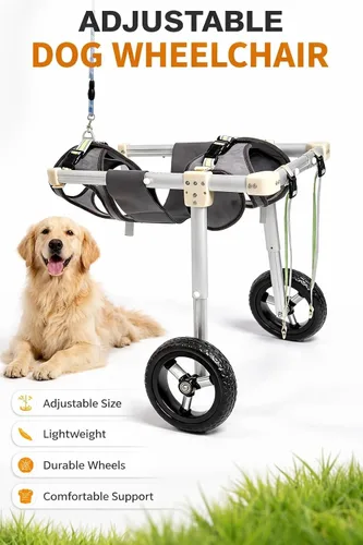 Miniatura 2 de Adjustable Dog Wheelchair for Back Legs, Lightweight Aluminum 2 Wheel Pet Cart, Dog Mobility Aid for Paralyzed, Disabled, Elderly Dogs, Hind Leg