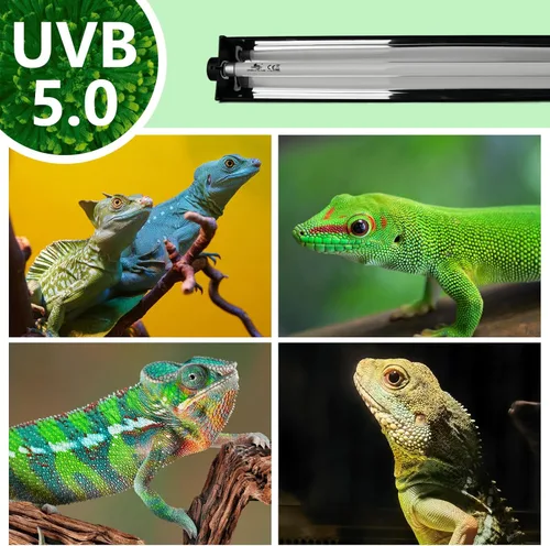 Miniatura 4 de T5 - Kit combinado de iluminación UVB para reptiles, lámpara de 8 W con bombillas Desert 5.0 T5 UVB, lámpara de calor para campana de terrario