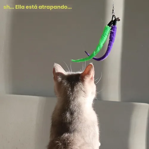 Miniatura 8 de MeoHui Juguetes para gatos de interior, juguete interactivo para gatos, 2 juguetes retráctiles y 9 juguetes de plumas de gato, juguetes divertidos