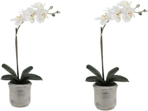 Miniatura 15 de CG Hunter Planta de orquídea sintética con suculentas, soporte de exhibición de flores artificiales de alta calidad para interiores de 23 pulgadas