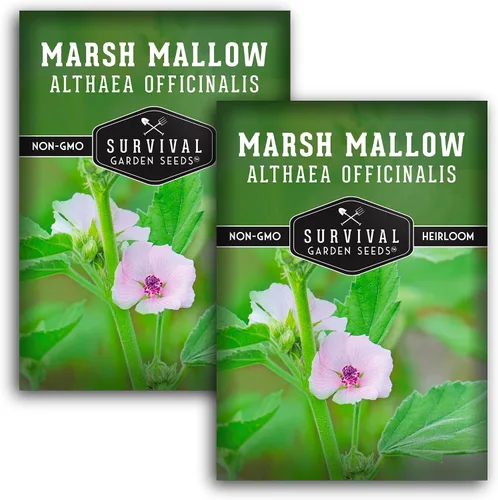 Miniatura 11 de Semillas de malvavisco para plantar, semillas de jardín de supervivencia (paquete de 1) Marsh Mallow Medicinal Herb, Althaea Officinalis