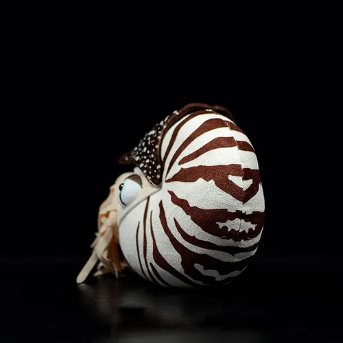 Miniatura 5 de Nautilus - Animal de peluche realista de Nautilus, juguete realista de Nautilus de 8 pulgadas, peluche suave de criaturas marinas modelo Nautilus