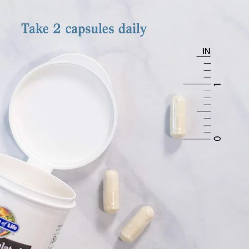 Miniatura 6 de Garden of Life Dr. Formulated Probiotics Platinum Series Restore 200 mil millones de UFC garantizados, fórmula probiótica de alta potencia, vegano