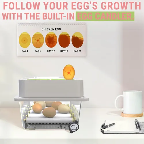 Miniatura 3 de OBI-12 Incubadoras de huevos para incubar huevos - Incubadora para 12 huevos con girador automático de huevos - Incubadora para huevos de gallina