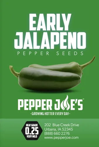 Miniatura 2 de Pepper Joe's Semillas de pimiento jalapeño temprano – Paquete de 10 semillas de jalapeño de maduración rápida – Cultivadas en Estados Unidos