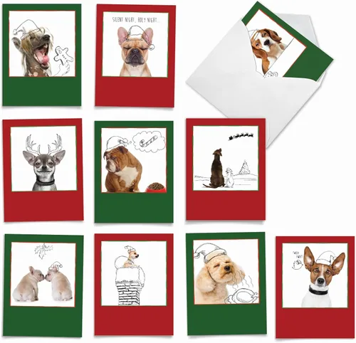 Miniatura 8 de The Best Card Company - 10 tarjetas navideñas en blanco - Gatos y perros, tarjetas de animales de Navidad en caja para niños (4 x 5.12 pulgadas)