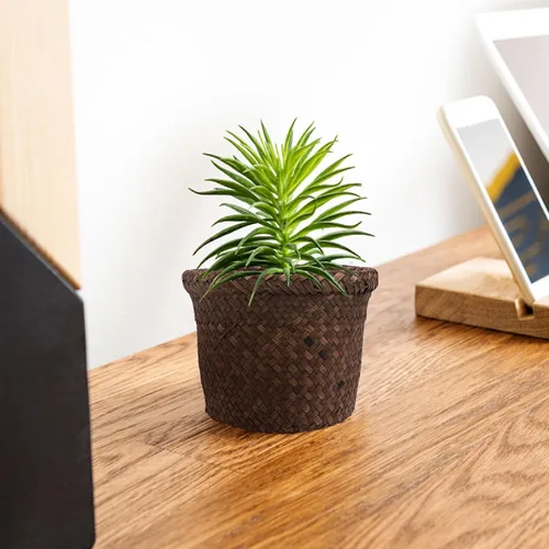 Miniatura 5 de NUOBESTY Cesta redonda de hierba marina: 5.5 x 7.1 pulgadas, cubierta de macetas tejidas, contenedores de macetas - Cesta de mimbre para plantas