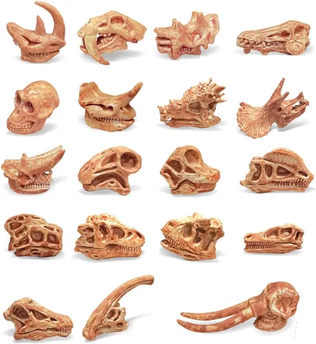 Juego de 19 piezas de mini calavera de mamífero, huesos de dinosaurio realistas, animales prehistóricos, cabeza y esqueleto, colección Daeodon