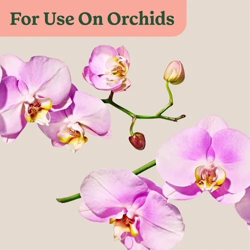Miniatura 9 de Miracle-Gro Rocío de alimentos para plantas de interior para orquídeas, alimento para plantas de orquídeas, 8 onzas líquidas, paquete de 2 Niebla