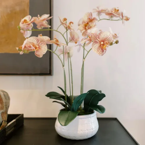 Miniatura 16 de CG Hunter Planta de orquídea sintética con suculentas, soporte de exhibición de flores artificiales de alta calidad para interiores de 23 pulgadas