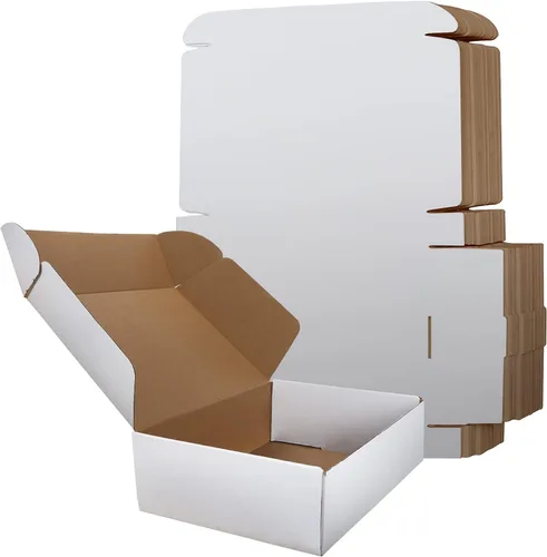 RLAVBL Juego de 20 cajas de envío de 12 x 9 x 3 pulgadas, cajas de cartón corrugado blanco, cajas de correo para embalaje de pequeñas empresas