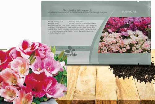 Miniatura 8 de Outsidepride 5000 semillas anuales Godetia Tall Flower Seed Mix para plantar Mezcla alta