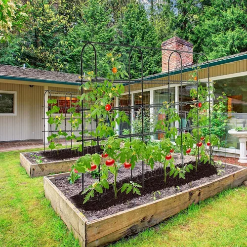Miniatura 7 de OTOSUNNY Enrejado de Jardín para Plantas Trepadoras al Aire Libre, Túnel de Arco de 6 Pies de Altura, Soporte de Plantas de Marco en A de Metal