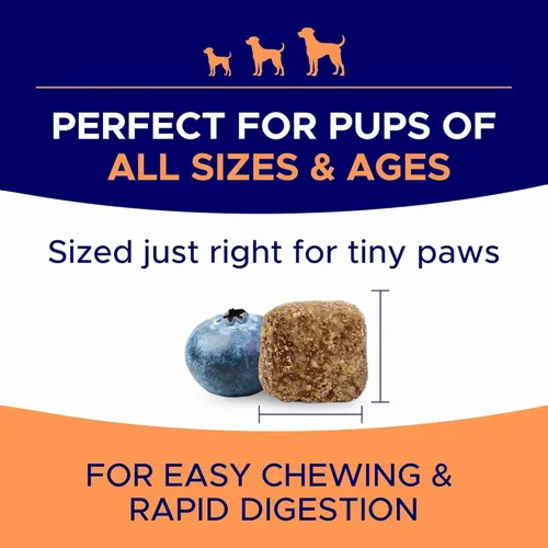 Miniatura 6 de Masticables para aliviar la alergia para perros — Suplemento antipicazón para la piel y el pelaje: sin rellenos, solo sabor - Tratamiento de alivio