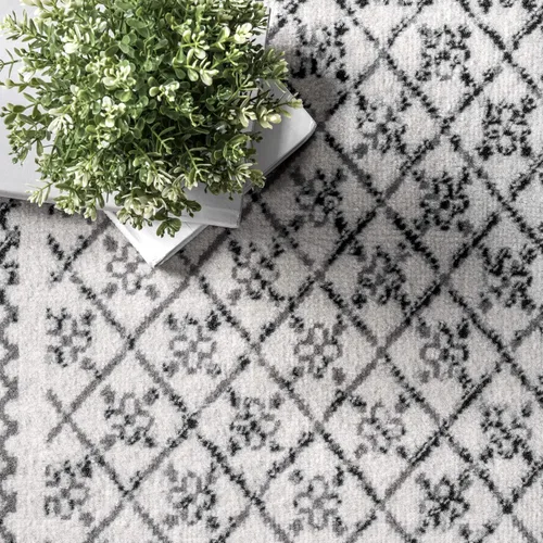 Miniatura 5 de nuLOOM Arabella Alfombra contemporánea con bordes, 4 x 6 pies, gris claro Arabella Gris Claro