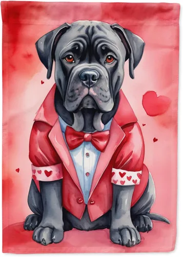 Miniatura 178 de Caroline's Treasures DAC5292CHF - Bandera de Border Collie My Valentine House para porche, grande, con manga para porche, para colgar en la pared