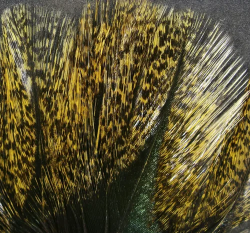 Miniatura 8 de Hareline Fly Tying Coq De Leon Feathers for Dry Fly Tails, Nymphs, and Euro Patterns