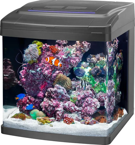 Miniatura 11 de Coralife BioCube, kit de acuario, tanque nano, iluminación LED personalizable, para ambientes de agua salada y agua dulce, 16 galones