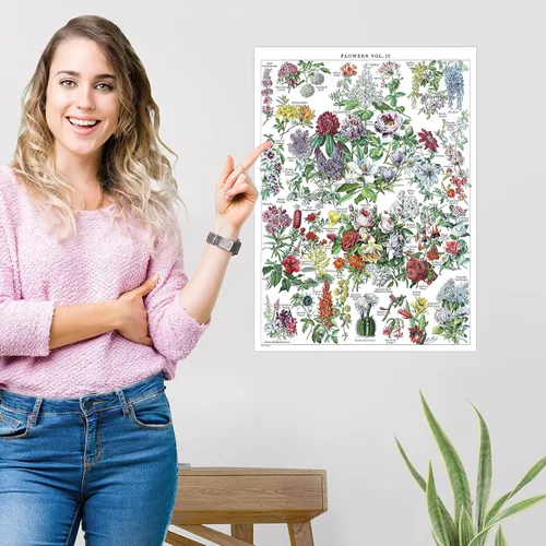 Miniatura 6 de Paquete de 4 pósteres vintage de flores y hongos - Cuadros de referencia de identificación botánica floral y micología y hongos Volumen 1 y 2