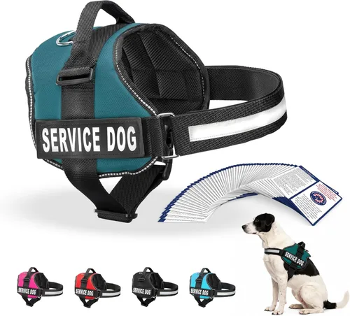 Miniatura 35 de Arnés Industrial Puppy para perros con correas y asa, y chaleco con parche reflectante, en un cómodo diseño de malla, Bright Red 2-Rojo Brillante