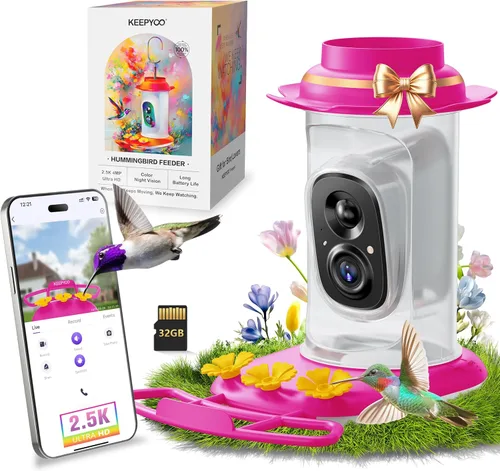 Comedero de colibríes de 2.5K con cámara, comedero inteligente inalámbrico sin suscripción para pájaros para exteriores, cámara AI para ver video