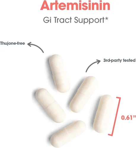 Miniatura 5 de Allergy Research Group Suplemento de artemisinina – Apoyo del tracto gastrointestinal, Qinghaosu puro de Artemisia annua, sin tujona