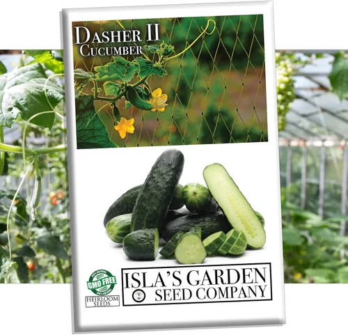 Dasher II - Semillas híbridas de pepino para plantar, más de 25 semillas por paquete, semillas de jardín de Isla (semillas de jardín de Isla),