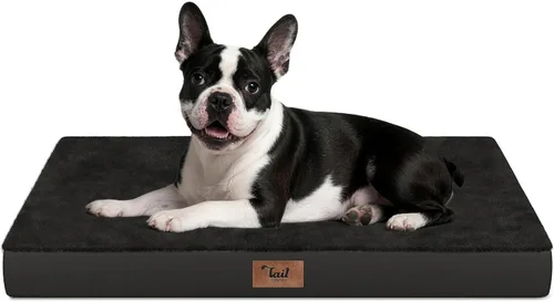 Miniatura 31 de Cama ortopédica de felpa para perros y cachorros medianos, camas impermeables para perros de 30 x 20 pulgadas con funda extraíble lavable, tapete