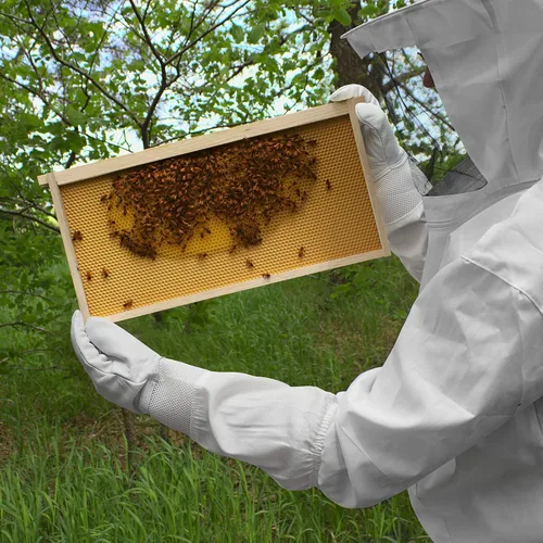 Miniatura 5 de Honey Keeper Guantes de apicultura - Piel de cabra con manga de lona ventilada y puño elástico
