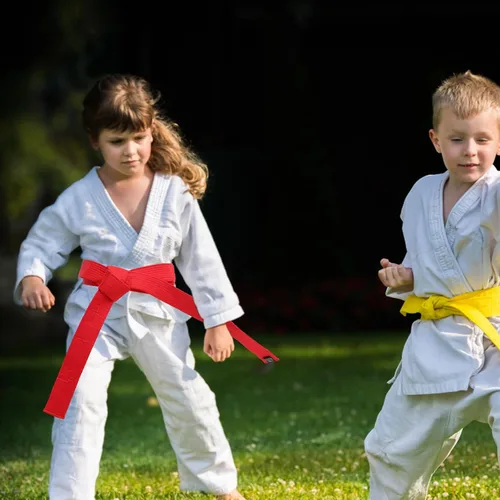 Miniatura 6 de BESPORTBLE Cinturón de Taekwondo de 6 piezas, traje negro para niños, conjuntos de regalos para hombres y niños, cinturones para niños, cinturón