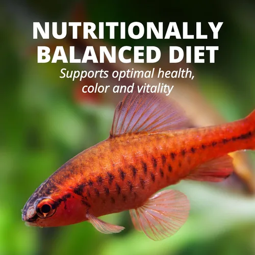 Miniatura 7 de Tetra Color Tropical Flakes, alimento para peces que aumentan el color, dieta nutricionalmente equilibrada para peces tropicales, 2.2 libras