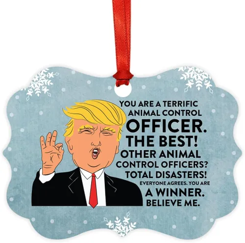 Miniatura 89 de Andaz Press Presidente Donald Trump Fancy Frame Recuerdo Adorno de Navidad Regalo de broma Ejecutivo de Cuenta, 1 paquete, Divertidas Ideas