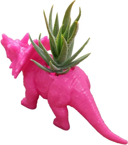 Miniatura 8 de Aislor Maceta suculenta con forma de dinosaurio con bandeja de drenaje, florero multiusos para bonsái, maceta creativa de cactus con orificio