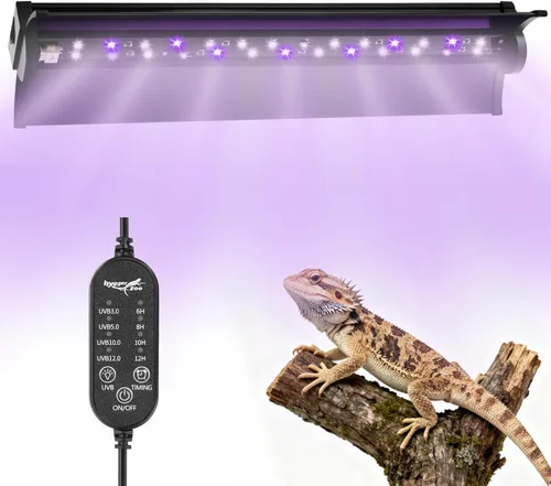 Luz UVB para reptiles, 10W HO LED UVB lámpara de reptil UVA UVB lámpara bombilla terrario luz con temporizador y 5 brillo ajustable para dragón
